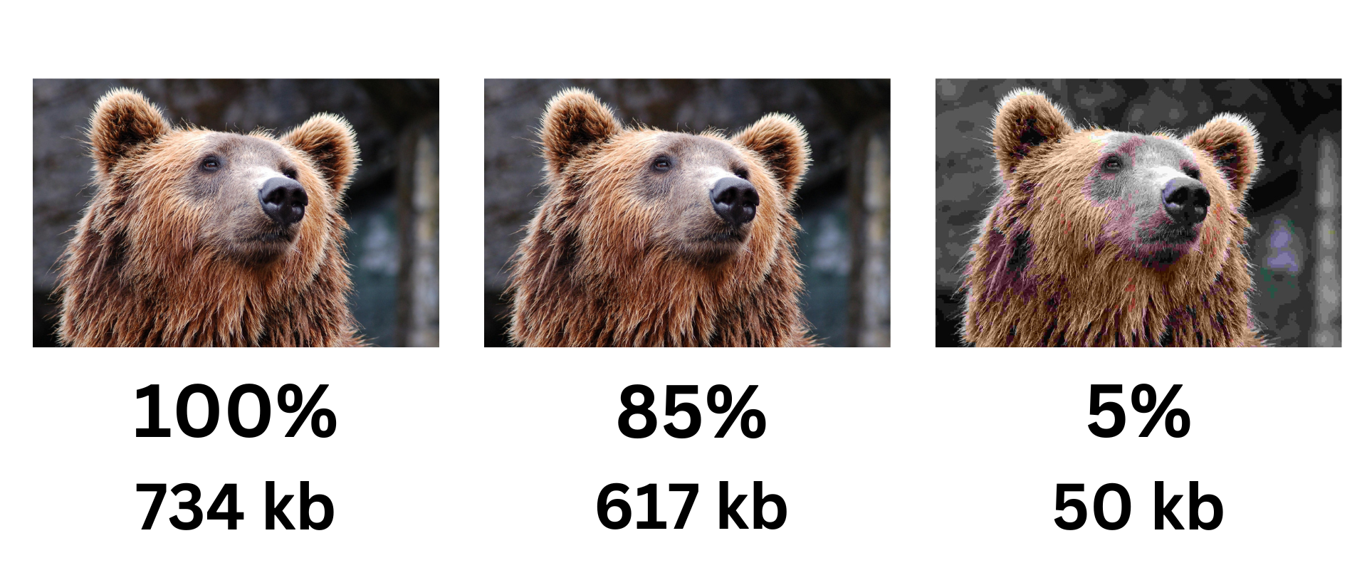 JPEG compression quality comparison